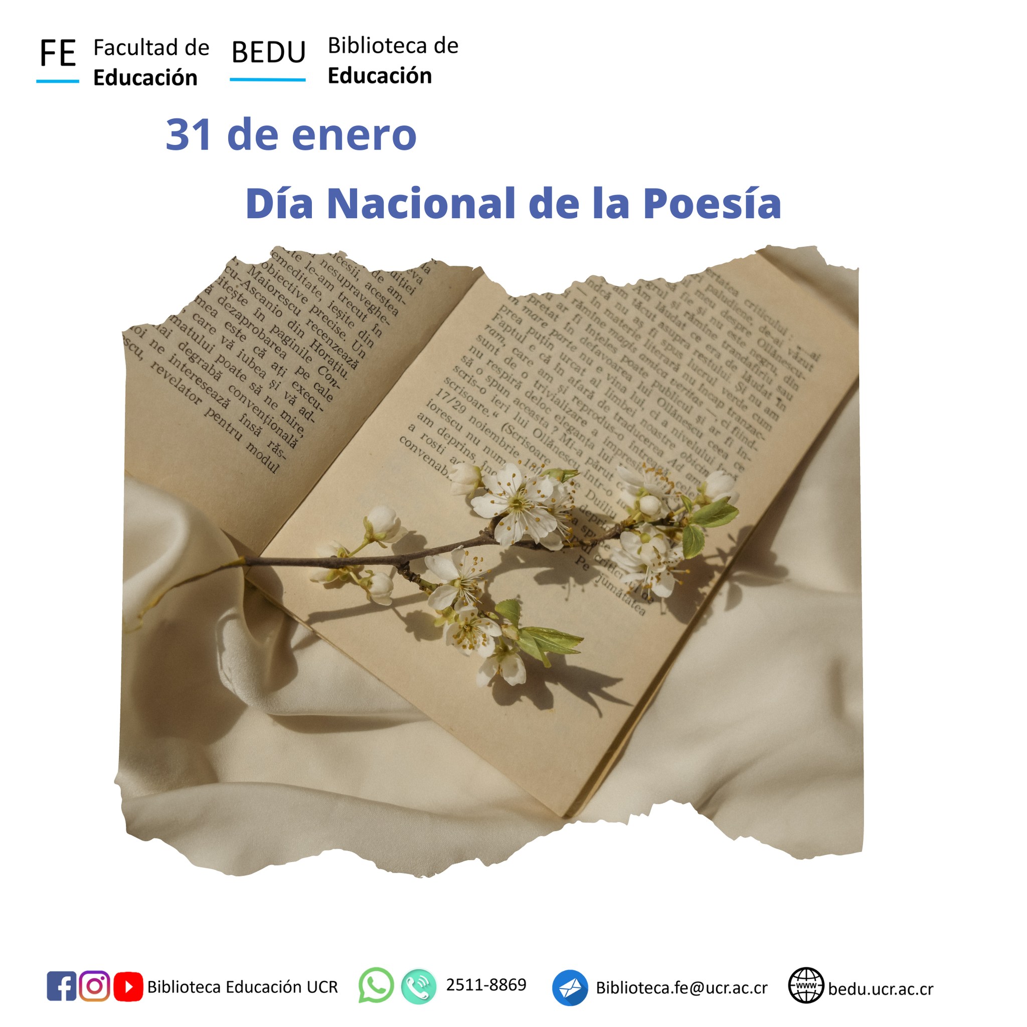 31 de enero día nacional de la poesía. 